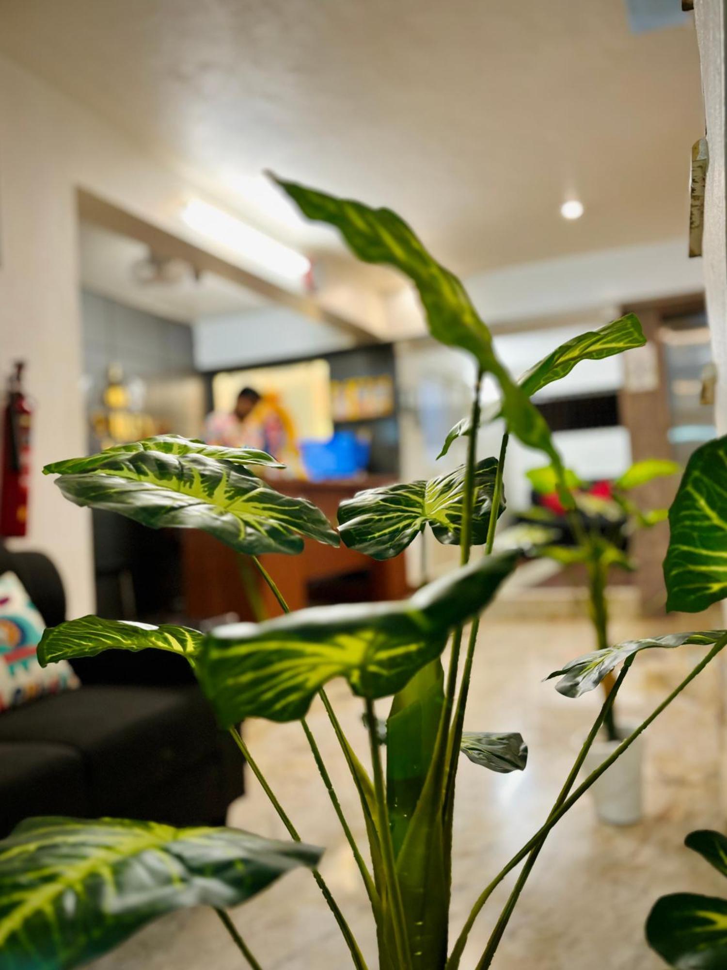 Sai Shreyas Residency, Best Hotel Near Bangalore Airport Dod Jala Luaran gambar